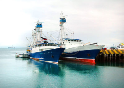 sectorpesquero2